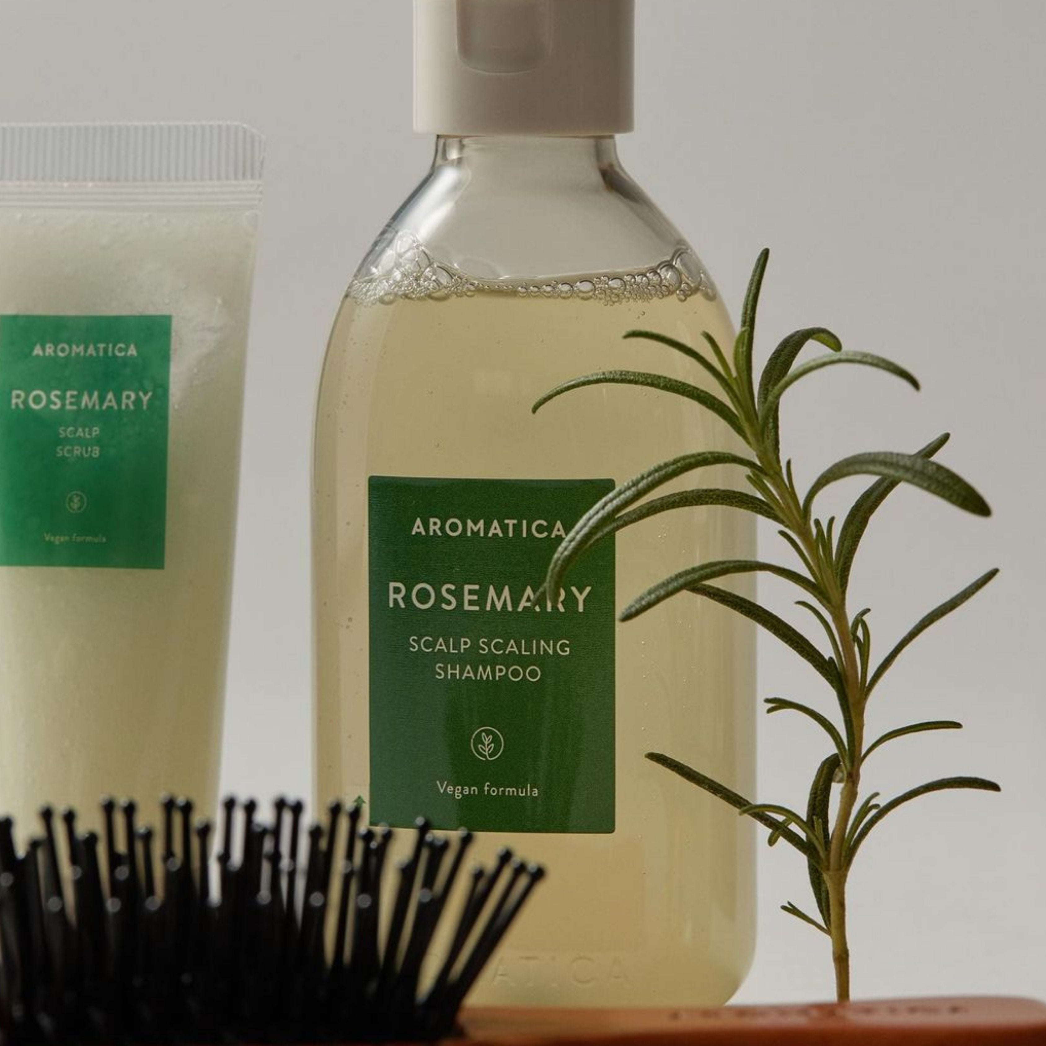 AROMATICA